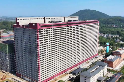 Đề xuất nuôi heo trong nhà cao tầng tại Việt Nam