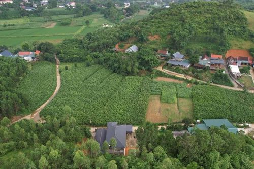 Gần 50 điểm nguy cơ sạt lở tại Ba Vì, Chủ tịch Hà Nội yêu cầu khẩn trương xử lý