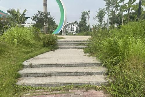 Vườn hoa cây xanh bị bỏ rơi?