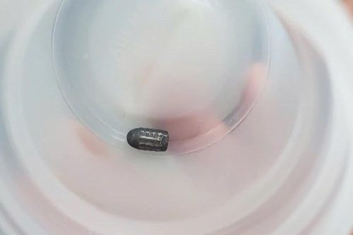 Xác định người bắn súng hơi khiến đạn lạc trúng đầu phụ nữ làm vườn ở Cần Thơ