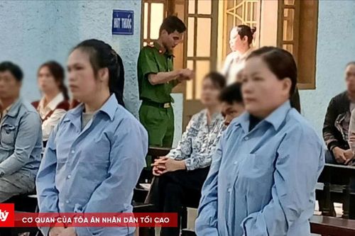 Giám đốc công ty cùng đồng phạm lừa đảo hơn 40 tỷ đồng