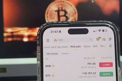 Số người chơi tiền mã hóa Việt Nam nhiều gấp đôi nhà đầu tư chứng khoán