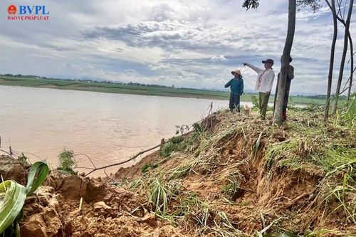 Sạt lở nghiêm trọng bờ sông Chu sau bão số 3