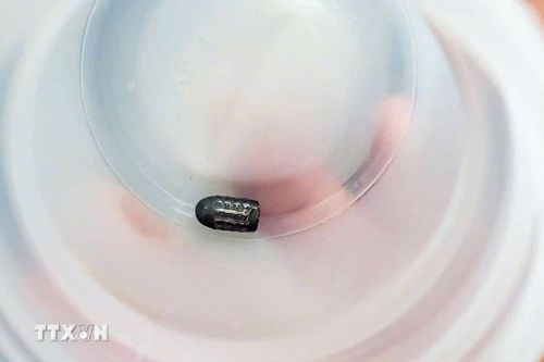Xác định đối tượng dùng súng bắn chim khiến đạn lạc trúng đầu người phụ nữ