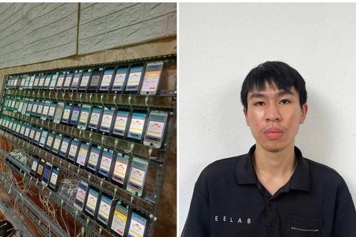Phú Thọ: Bắt giữ đối tượng trộm 400 chiếc điện thoại iPhone