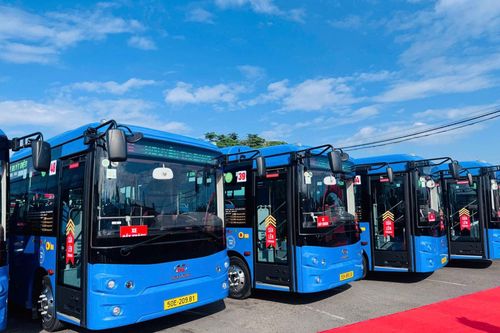 TP Hồ Chí Minh: 37 tuyến xe buýt đấu thầu sẽ được đưa vào hoạt động từ ngày 1/8