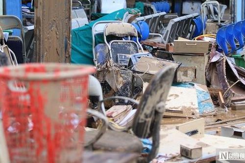 WHO hỗ trợ Nghệ An phòng, chống dịch bệnh sau mưa lũ