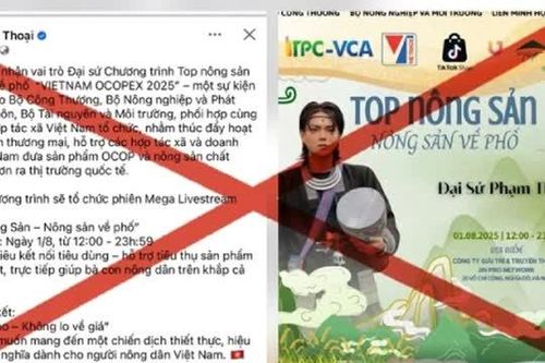 Bộ Công Thương không bổ nhiệm TikToker Phạm Thoại làm 'đại sứ nông sản'