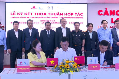 Cảng Quốc tế Long An hợp tác với cụm cảng và hãng tàu của Trung Quốc