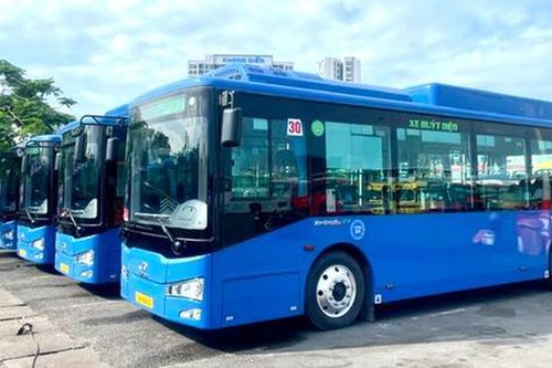 TPHCM: 'Xanh hóa' giao thông công cộng với hàng trăm xe buýt mới hiện đại