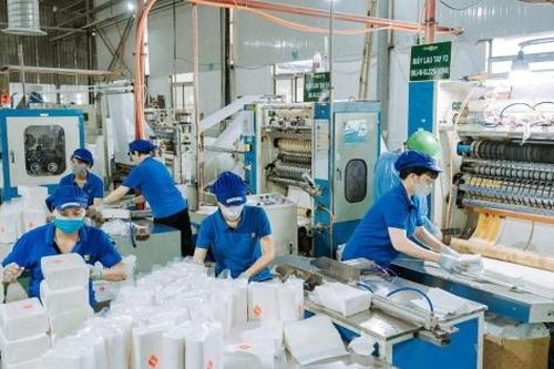 Đổi mới công nghệ, thúc đẩy ngành giấy phát triển bền vững