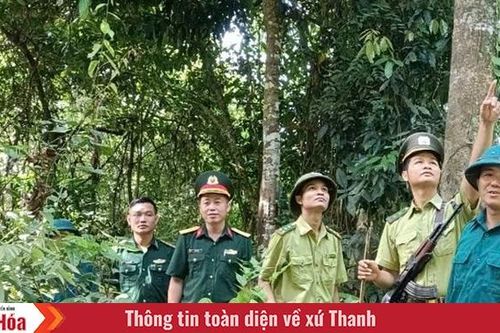 Giữ rừng trên dãy Pù Hu