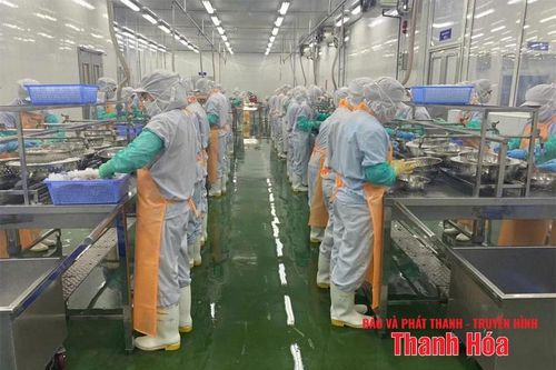 Nâng tầm giá trị thủy sản Sầm Sơn
