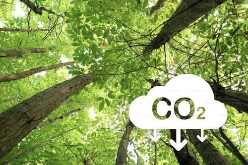 Năm 2028, Việt Nam sẽ xây dựng, tổ chức vận hành thí điểm sàn giao dịch carbon trong nước