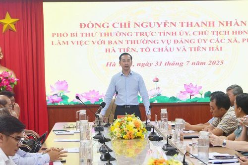 Phó Bí thư Thường trực Tỉnh ủy An Giang làm việc với 3 xã, phường