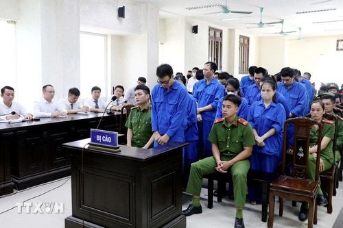 Tuyên án 44 bị cáo liên quan đến Tạp chí Môi trường và Đô thị Việt Nam