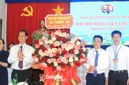 Khắp nơi trong tỉnh chiều 31-7-2025