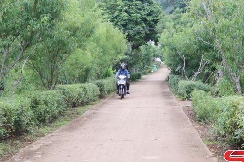 Chiềng Sung đoàn kết xây dựng nông thôn mới