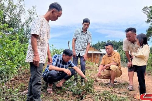 Di chuyển 13 hộ bản Co Dâu đến nơi ở an toàn