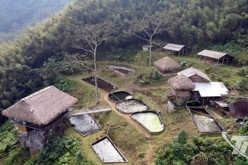 Khát vọng trên núi Hoa