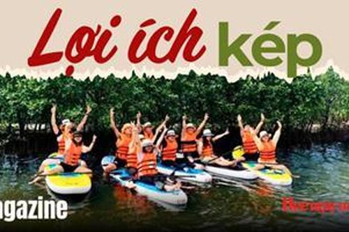 Quả ngọt' từ rừng ngập mặn - Kỳ 2: Lợi ích kép