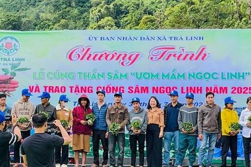 Trao tặng 7.000 cây giống cho các hộ dân khó khăn tại lễ cúng Thần sâm Ngọc Linh