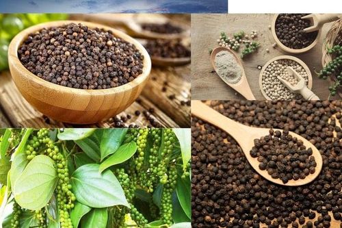 Hiệp hội Hồ tiêu kiến nghị bỏ thuế VAT vì thu chỉ 55 tỷ, hoàn đến 2.135 tỷ đồng