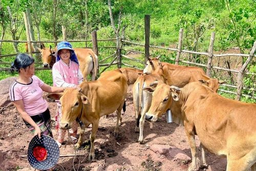 Bản nhỏ - giấc mơ lớn!