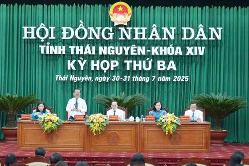 Kỳ họp thứ 3, HĐND tỉnh Thái Nguyên Khóa XIVĐẩy mạnh sản xuất chè an toàn, hữu cơ gắn với chế biến sâu