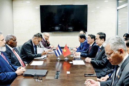 Việt Nam – Cuba củng cố hợp tác nghị viện, hướng tới 'Năm hữu nghị 2025'