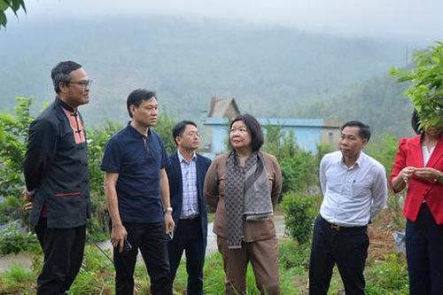 Kinh tế hợp tác vượt khó khăn, vững bước đi lên