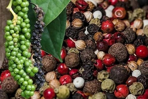 Hiệp hội Hồ tiêu kiến nghị bỏ thuế giá trị gia tăng