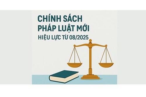 Chính sách mới có hiệu lực từ tháng 8/2025