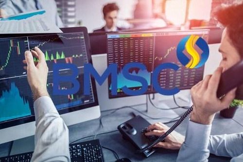 Chứng khoán Bảo Minh (BMS) muốn chào bán 125 triệu cổ phiếu riêng lẻ, huy động 1.250 tỷ đồng