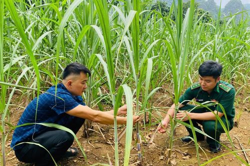 Sao xanh tỏa sáng vùng biên cương - Bài 4