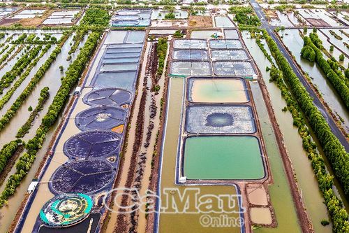 Tạo đột phá cho tăng trưởng năm 2025
