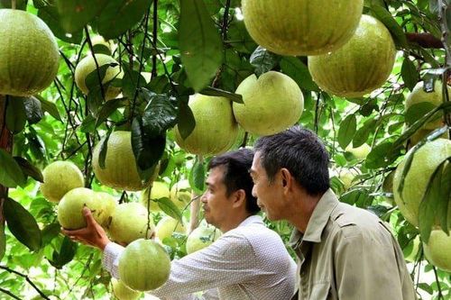 Tuyên Quang bứt phá từ nông nghiệp đặc sản đến nâng cao chất lượng sống nông thôn