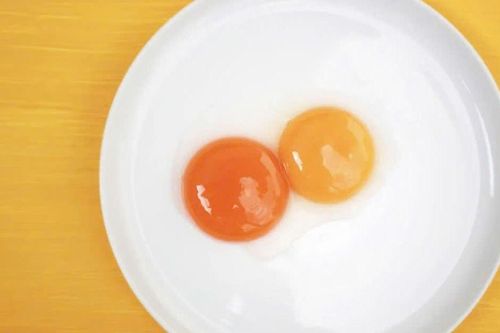 Trứng gà lòng đỏ cam hay vàng tốt hơn? Câu trả lời khiến nhiều người bất ngờ
