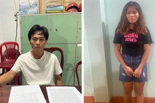 Ổ ma túy núp bóng trang trại nuôi bò