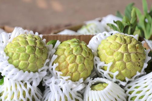Tây Ninh đẩy mạnh tiêu thụ mãng cầu, phát triển thương hiệu trên nền tảng số