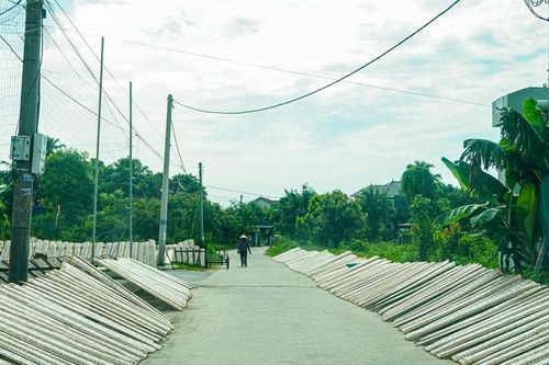 Phơi bánh đa nem trên vỉa hè: Vừa mất vệ sinh vừa mất an toàn giao thông