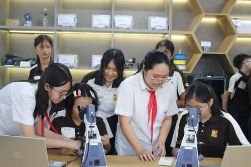 Đưa giáo dục Thủ đô hội nhập quốc tế