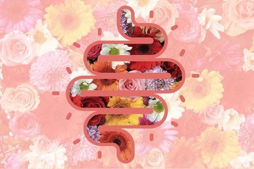 5 điều bạn nên làm mỗi ngày cho sức khỏe đường ruột