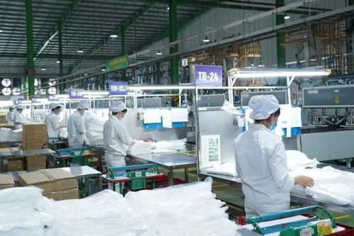 Tăng cường phát triển nền kinh tế số và kinh tế xanh