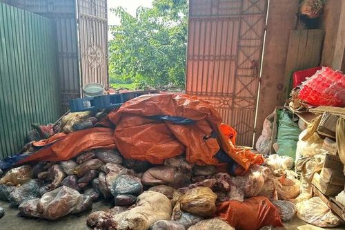 Hàng tấn thịt lợn bốc mùi hôi thối chờ chế biến bán ra thị trường