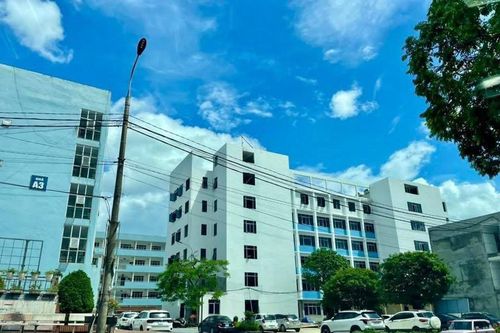 Điều dưỡng – Nghề chăm sóc nhân loại và tương lai bền vững