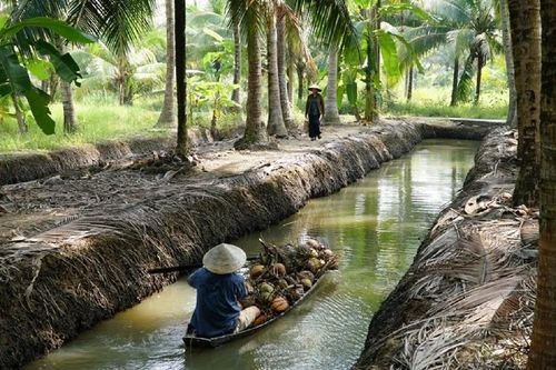 Chiếu miễn phí 14 bộ phim nhân kỷ niệm 80 năm Cách mạng Tháng Tám