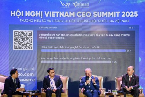 DN có thể thắng các 'tay chơi sừng sỏ' nếu tầm nhìn táo bạo và đầu tư mạnh cho công nghệ