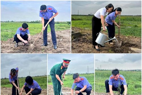 Lễ phát động trồng cây tại tuyến đường liên cơ quan khu vực 2 Quảng Ninh