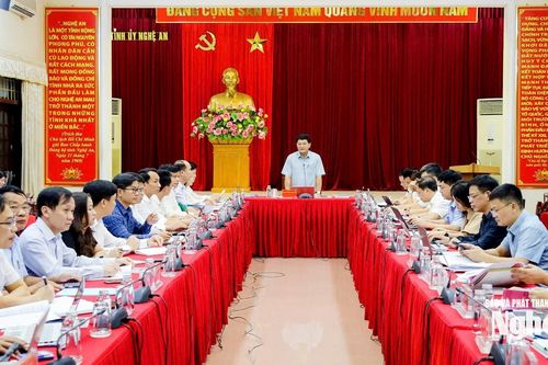 Chủ nhiệm Ủy ban Kiểm tra Tỉnh ủy Phạm Trọng Hoàng chủ trì duyệt đại hội các xã Nhân Hòa, Anh Sơn Đông, Thành Bình Thọ